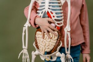 Os 10 fatos mais surpreendentes sobre o corpo humano que você nunca ouviu falar