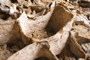 Os 8 lugares inusitados para encontrar artefatos históricos e suas origens fascinantes